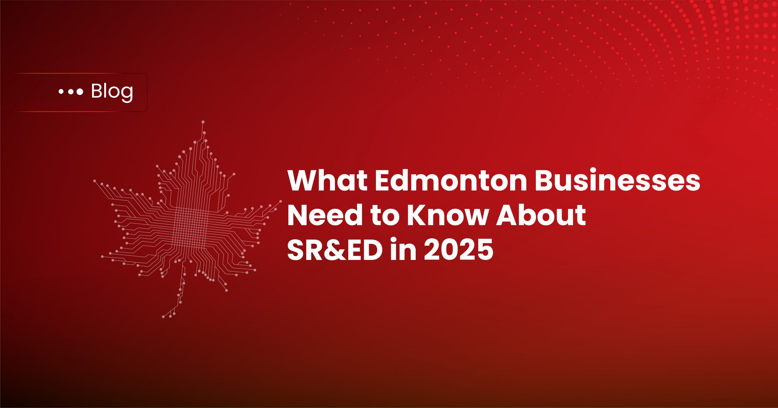 What Edmonton Businesses Need to Know About SR&ED in 2025